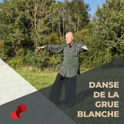 Marche de la grue blanche